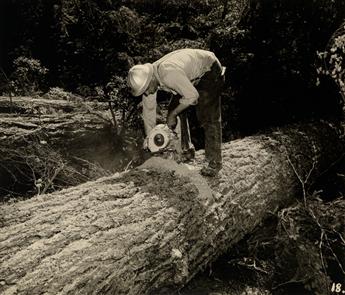 (BOOTH-KELLY LUMBER CO.) Album with 117 photographs illustrating the process, start-to-finish, of logging and lumber production by the